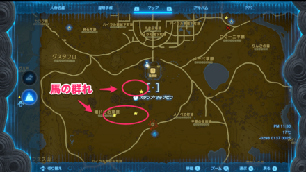 唄ドリの草原の馬の群れ