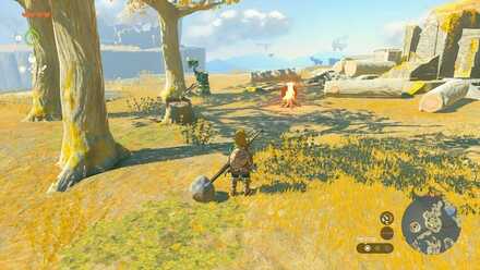 薪の束の入手場所の見た目