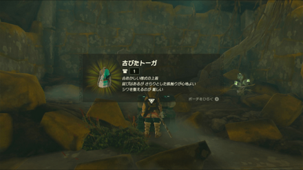 古びたトーガの画像