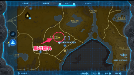 草笛の丘の馬の群れ