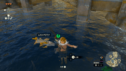 ムカシアロワナの入手場所の見た目