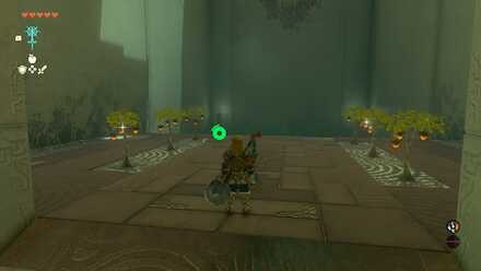 火炎の実の入手場所の見た目