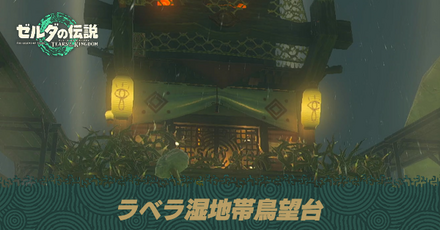 ラベラ湿地帯鳥望台