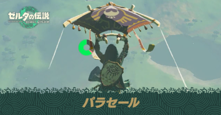 パラセールの生地一覧と入手方法・使い方