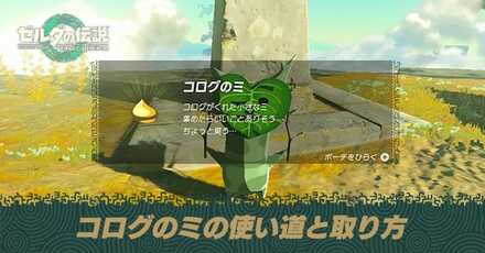 コログの実の使い道と取り方