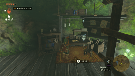 ゼルダの日記の場所