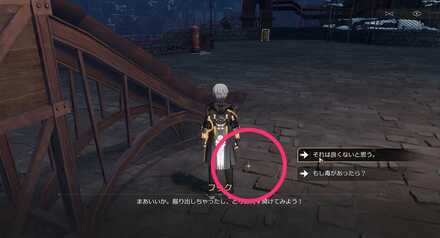 フックちゃんのお宝3