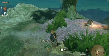 ガッツニンジンの生成場所