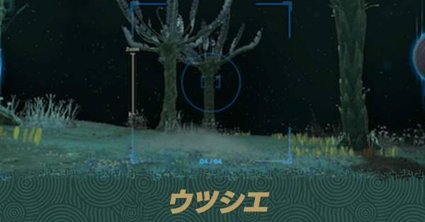 ウツシエの入手場所