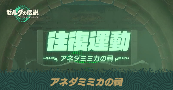 アネダミミカの祠の場所と宝箱の取り方
