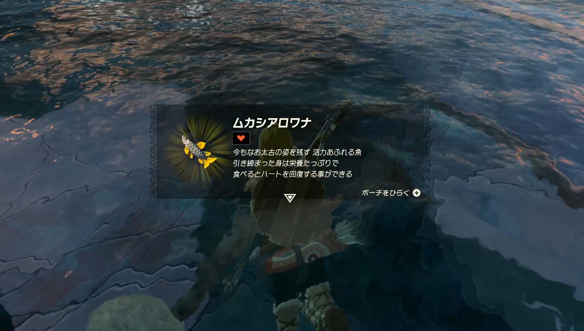 ムカシアロワナ