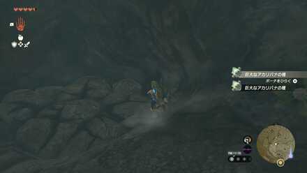 行き止まりにある岩を岩ハンマーで壊して下に降りる