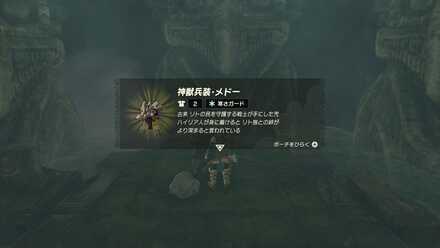 隠し通路を進んだ先の宝箱で「神獣兵装メドー」を入手