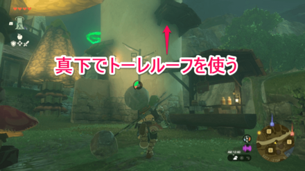 トーレルーフでサイロの2階から侵入できる