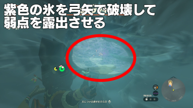 フリザゲイラの氷