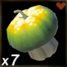 ヒダマリカボチャ画像