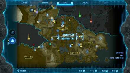 ハリツキガエルの入手場所