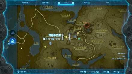 ハリツキガエルの入手場所