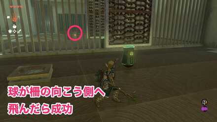 マカスラの祠攻略手順その7球を飛ばしている
