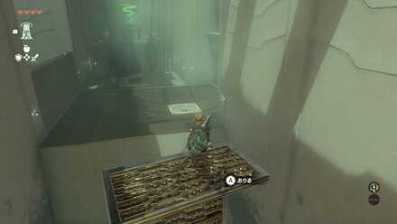 マカスラの祠攻略手順その3鉄板の上に立っている様子