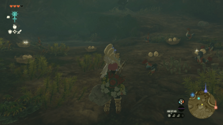 コッコの産卵場所の行き方