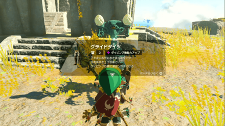 グライドタイツの入手方法