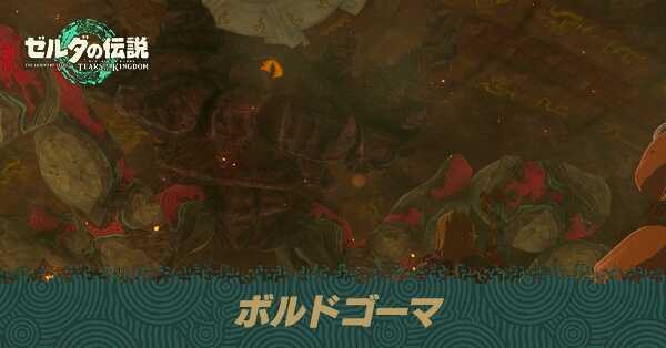 ボルドゴーマの攻略