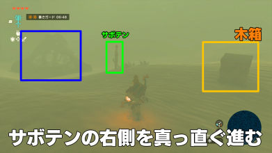 サボテンの右側を真っ直ぐ