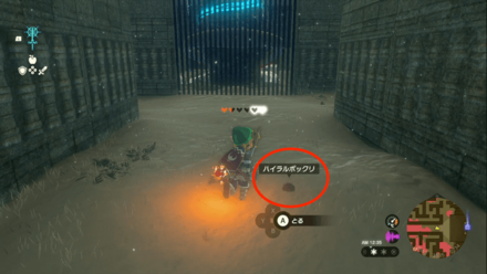 地上はハイラルボックリを頼りに進む