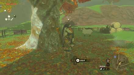 コッコ様の言う通り画像