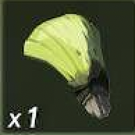 デグガーマの爪画像