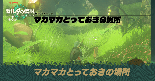 マカマカとっておきの場所の攻略