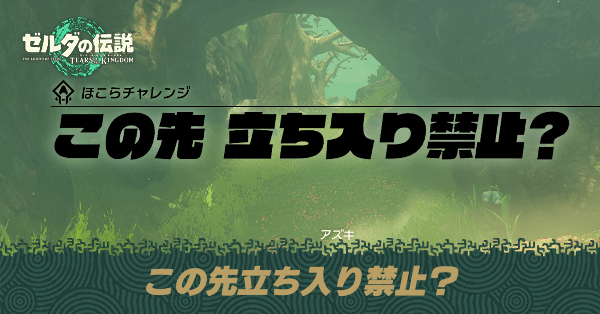 この先立ち入り禁止？の攻略