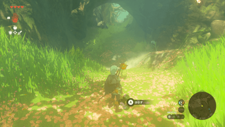 ハイラル大森林の場所