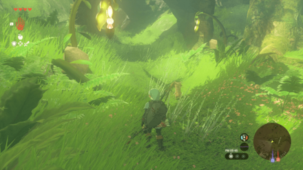 ハイラル大森林の場所