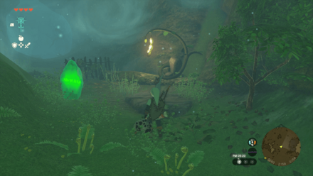 ハイラル大森林の場所