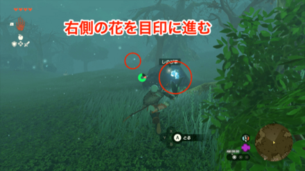 この先立ち入り禁止？の攻略