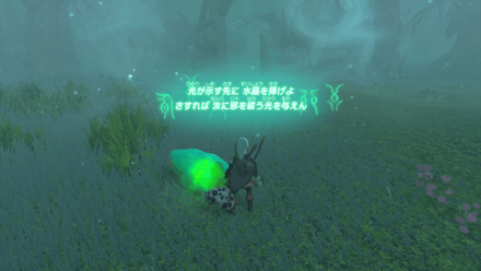 "この先立ち入り禁止？の攻略"