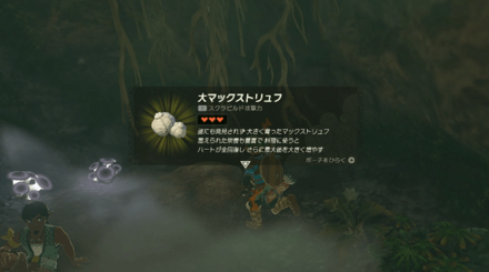 大マックストリュフ