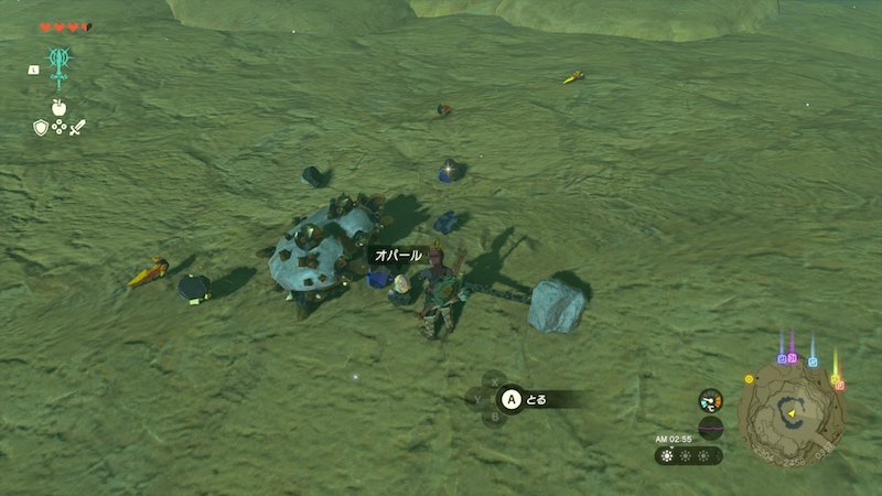 希少イワロックの心岩