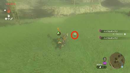 ハイラルボックリに従って東に進む