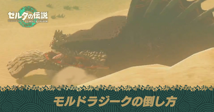 モルドラジークの倒し方