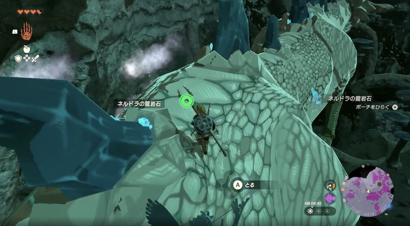 ネルドラを射撃