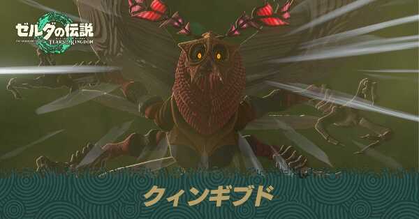 クィンギブド