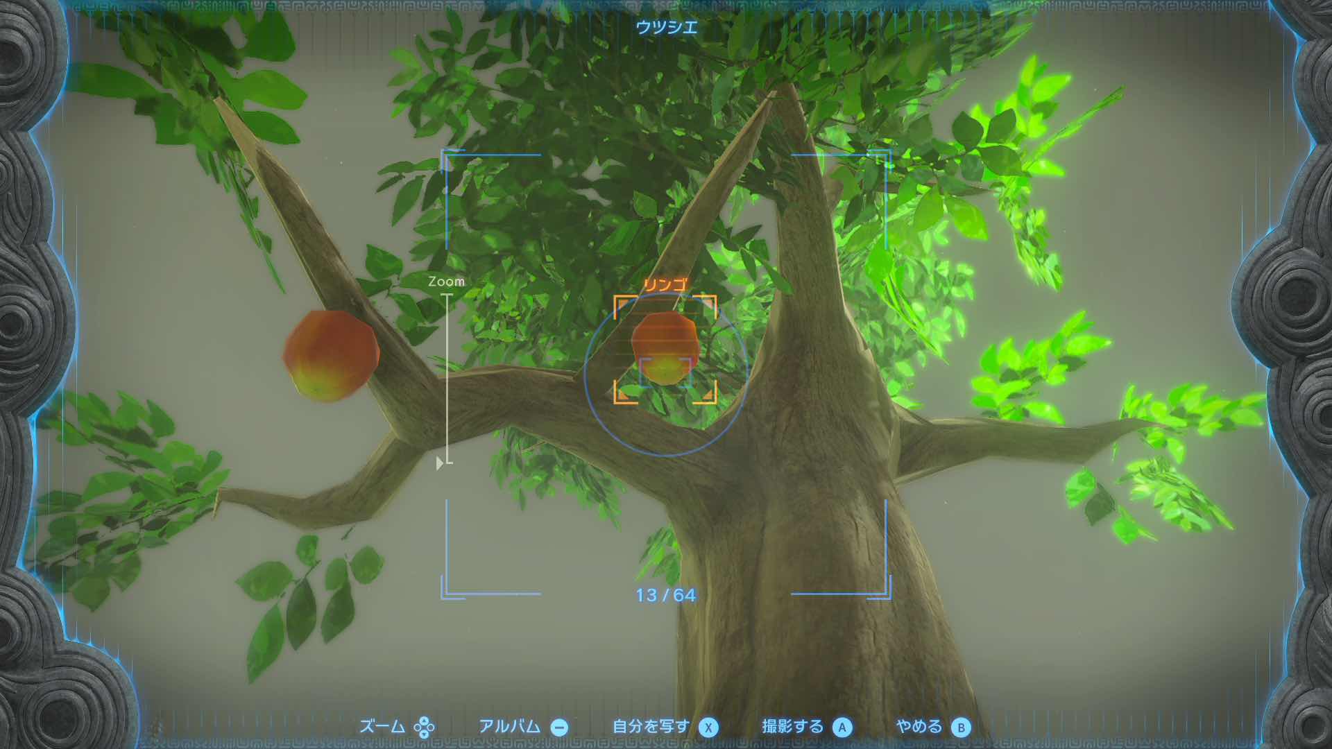 りんごをウツシエで撮影