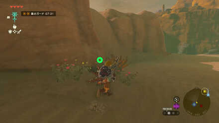 岩場を見つける