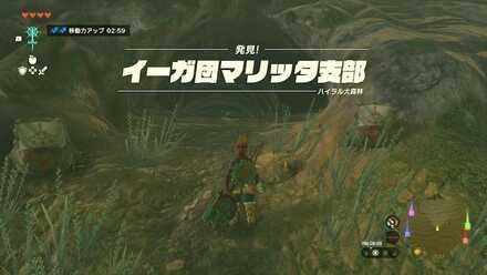 イーガ団タイツの実際の入手場所