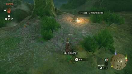 ガッツニンジンの入手場所