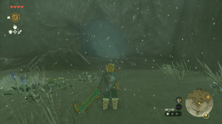 ツツキキ雪原北西の洞窟の入り口画像