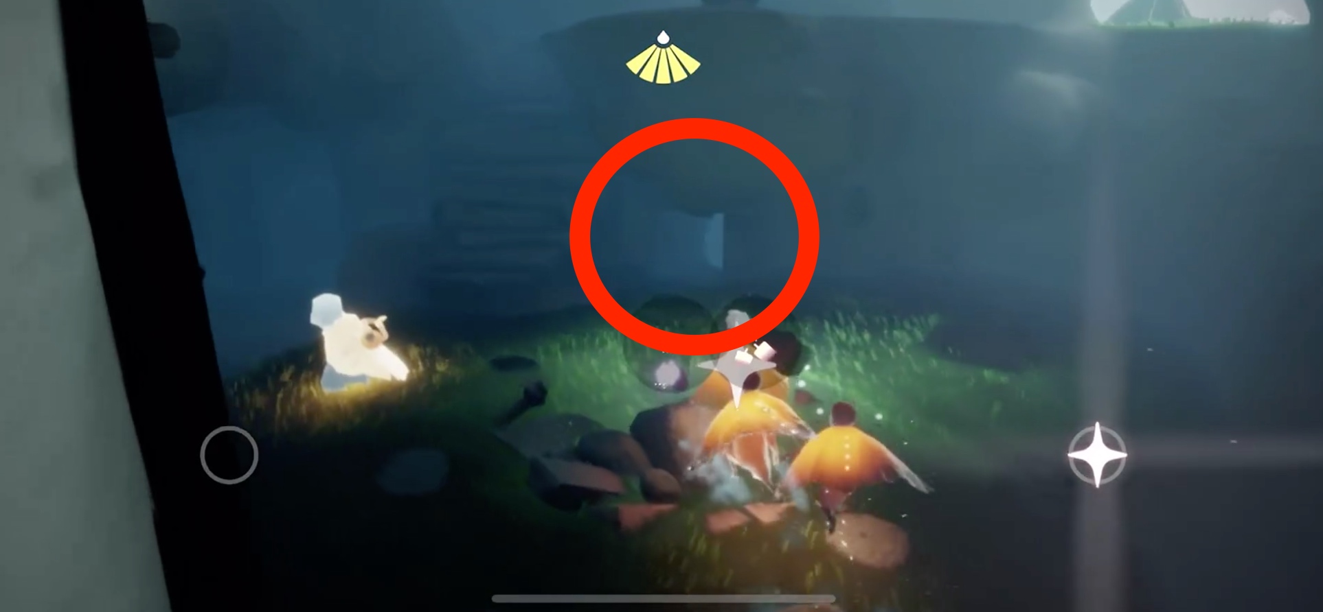 ツリーハウスの中